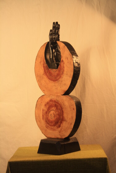 Скульптура под названием "Déboisement" - Abdellouahab Selka, Подлинное произведение искусства, Дерево