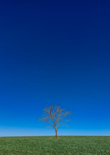 「Dry Loneliness」というタイトルの写真撮影 Abreuによって, オリジナルのアートワーク, デジタル