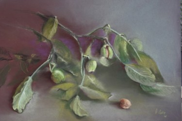Dessin intitulée "noix vertes" par Agnes Corre, Œuvre d'art originale, Pastel