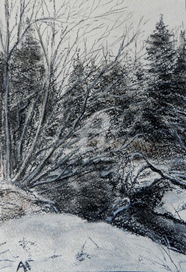 Картина под названием "Рисунок зимы" - Андрей Гудков, Подлинное произведение искусства, Другой