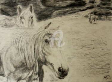 Рисунок под названием "Лошади" - Андрей Гудков, Подлинное произведение искусства, Древесный уголь