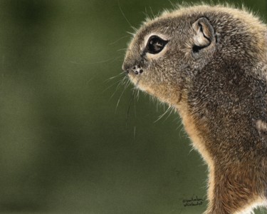 Ζωγραφική με τίτλο "Squirrel!" από Karen Nealon, Αυθεντικά έργα τέχνης, Scratchboard