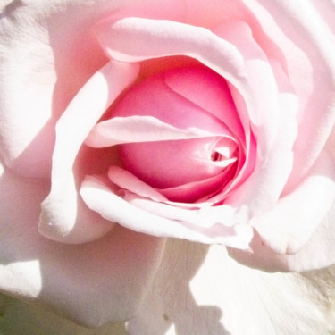 Fotografie getiteld "Cœur de rose, rose…" door Michel Akli, Origineel Kunstwerk, Digitale fotografie