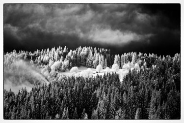 Fotografia zatytułowany „Matin  givré” autorstwa Alain Besombes, Oryginalna praca, Fotografia cyfrowa Zamontowany na Alumini…