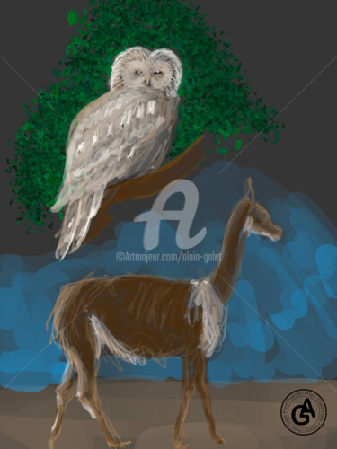 Digitale Kunst getiteld "Owl and llama" door Alain Galet, Origineel Kunstwerk, Digitaal Schilderwerk