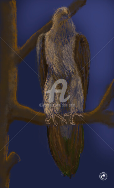 Arts numériques intitulée "Eagle / Aigle" par Alain Galet, Œuvre d'art originale, Peinture numérique