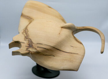 Sculpture titled "RAIE MANTA" by Alain Polydor, Original Artwork, Wood