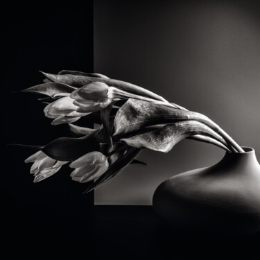 제목이 "Tulipes"인 사진 Alain Rappeneau로, 원작, 디지털