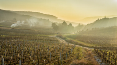 Photography titled "Sous les Cloux, Per…" by Alain Rappeneau, Original Artwork, Digital Photography