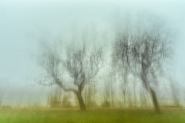 Fotografie mit dem Titel "Brouillard au Belvé…" von Alain Rappeneau, Original-Kunstwerk, Digitale Fotografie