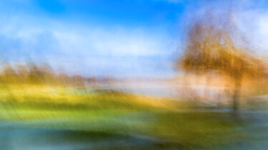 Photographie intitulée "Lac de Gigny, Beaune" par Alain Rappeneau, Œuvre d'art originale, Photographie numérique