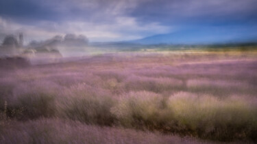 Photography titled "Champ de lavandes a…" by Alain Rappeneau, Original Artwork, Digital Photography