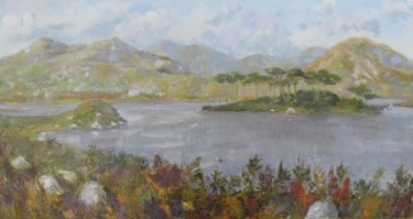 Peinture intitulée "lac au Connemara" par Alain Muller, Œuvre d'art originale, Huile