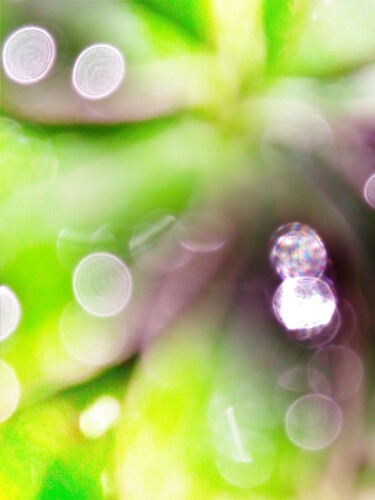 Photographie intitulée "Dar a Luz" par Albanne Cannet Del Litto, Œuvre d'art originale, Photographie numérique