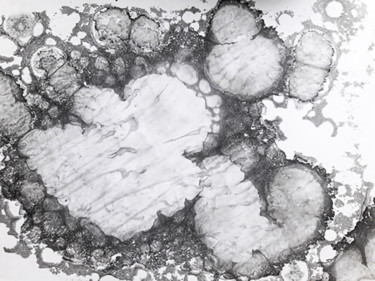 Estampas & grabados titulada "Jellyfish" por Albanne Cannet, Obra de arte original, Monotipia