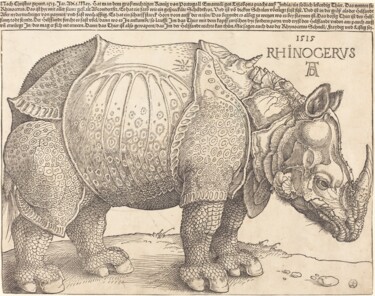 Impressões e gravuras intitulada "Rhinocéros" por Albrecht Dürer, Obras de arte originais, Xilogravura
