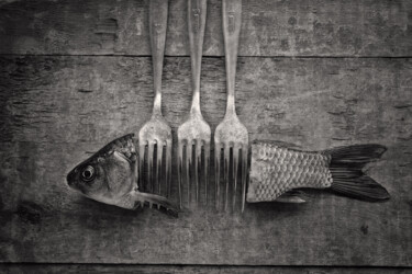 摄影 标题为“Это не рыба” 由Александр Ковязин, 原创艺术品, 数码摄影