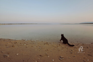 "Hard decision" başlıklı Fotoğraf Alen Gurovic tarafından, Orijinal sanat, Dijital Fotoğrafçılık