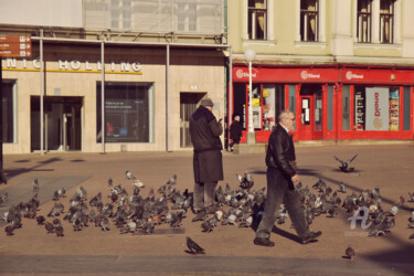 摄影 标题为“Coexistence” 由Alen Gurovic, 原创艺术品, 数码摄影