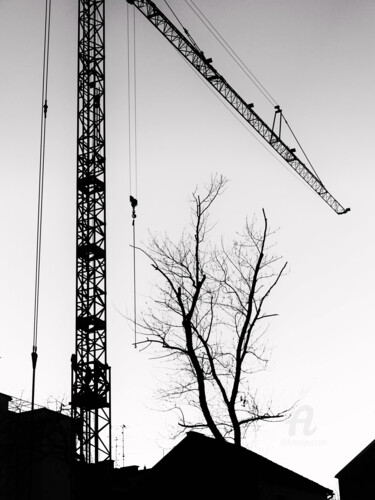 Fotografia zatytułowany „Restoration of tree…” autorstwa Alen Gurovic, Oryginalna praca, Fotografia cyfrowa