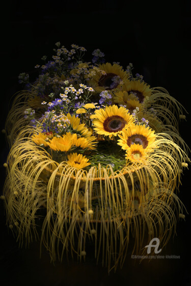 Fotografia zatytułowany „Flowers of sun” autorstwa Alena Khokhlova, Oryginalna praca, Fotografia cyfrowa