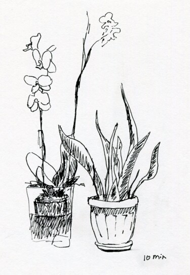 Tekening getiteld "Plants. 10 min sket…" door Alex Vainova, Origineel Kunstwerk, Inkt