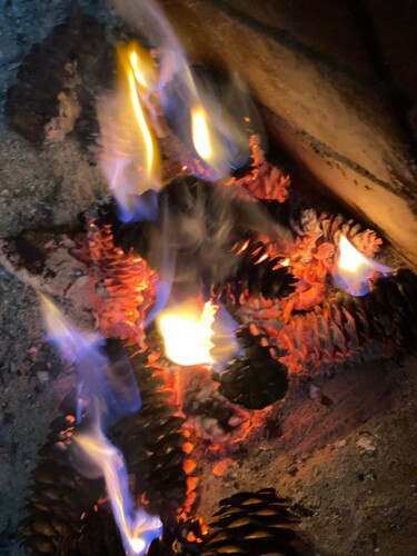 Photography titled "burning fir cones" by Alexandr Ushatkin, Original Artwork, Digital Photography