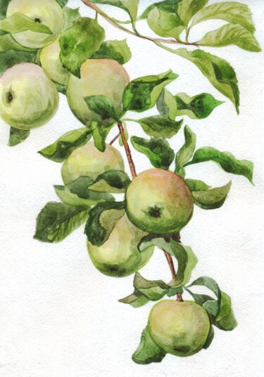 Картина под названием "Apples on a branch.…" - Alexandra Zatelepina, Подлинное произведение искусства, Акварель