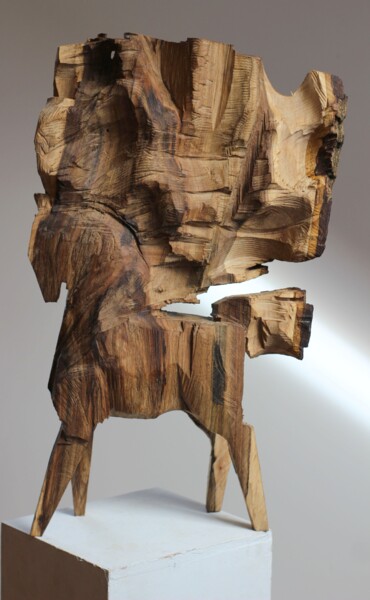 Scultura intitolato "Z cyklu Koniki Besk…" da Alex Johanson, Opera d'arte originale, Legno