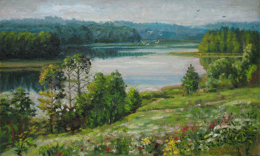 Картина под названием "утро,озеро" - Alexander Bezrodnykh, Подлинное произведение искусства, Масло