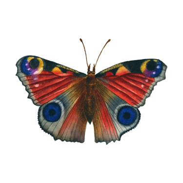Peinture intitulée "Butterfly" par Alfiya Scheck, Œuvre d'art originale, Aquarelle
