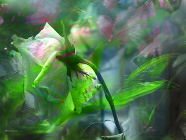 Arts numériques intitulée "Reflejos de Flor" par Alfonso García, Œuvre d'art originale, Photographie numérique