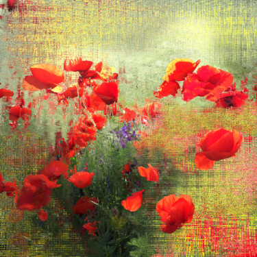 Digital Arts titled "Flor de Flores" by Alfonso García, Original Artwork, Digital Photography
