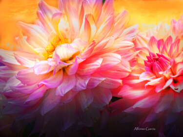 Digital Arts titled "Floral de Proserpina" by Alfonso García, Original Artwork, Digital Photography