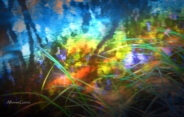 Digital Arts titled "Nature Abstract 1" by Alfonso García, Original Artwork, Digital Photography