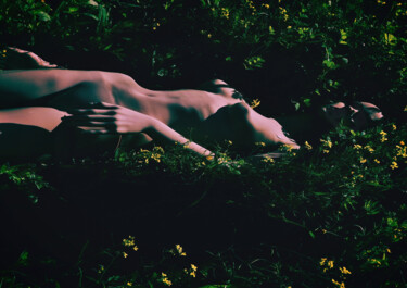 Photographie intitulée "Killed" par Alice Odilon, Œuvre d'art originale, Photographie argentique Monté sur Autre panneau rig…