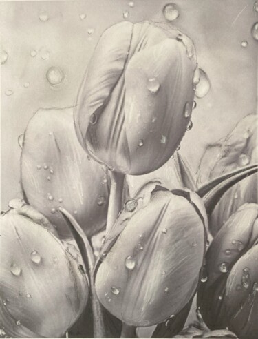 제목이 "Tulips"인 그림 Alicia Lopez로, 원작, 숯