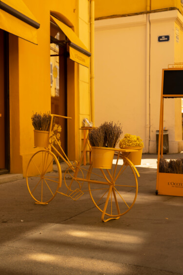 "Yellow" başlıklı Fotoğraf Alin Alexandru Dutu tarafından, Orijinal sanat, Dijital Fotoğrafçılık