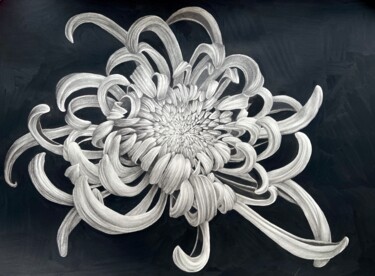 Σχέδιο με τίτλο "Chrysanthemum flowe…" από Alisa Diakova, Αυθεντικά έργα τέχνης, Γραφίτης