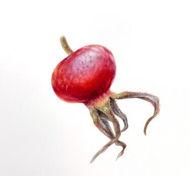 Ζωγραφική με τίτλο "Rosehip berry ( 16x…" από Alisa Diakova, Αυθεντικά έργα τέχνης, Ακουαρέλα