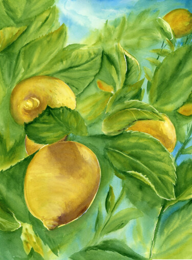 Pittura intitolato "Lemon Bliss" da Alisa Vovk, Opera d'arte originale, Acquarello