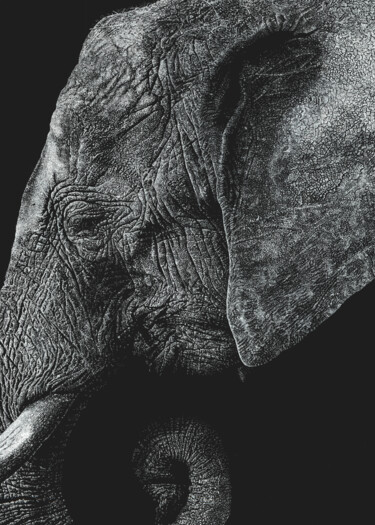 Dibujo titulada "Elephant#03 de la s…" por Alisson Drubay, Obra de arte original, Pluma de gel