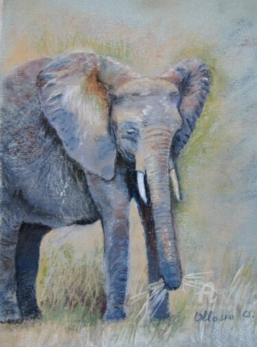 Painting titled "Elephant de Tanzanie" by Claudette Allosio, Original Artwork, Pastel