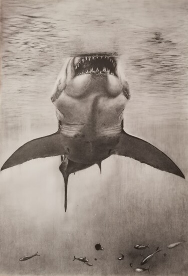 Dessin intitulée "Gran tiburón blanco" par Álvaro Urbanos Jiménez, Œuvre d'art originale, Graphite Monté sur Panneau de bois