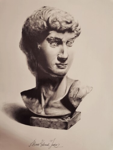 Dessin intitulée "El David" par Álvaro Urbanos Jiménez, Œuvre d'art originale, Graphite Monté sur Panneau de bois