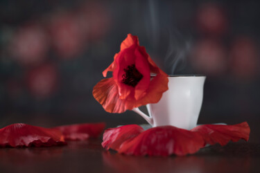 Φωτογραφία με τίτλο "Cup of poppy" από Amandine Desjardins, Αυθεντικά έργα τέχνης, Ψηφιακή φωτογραφία
