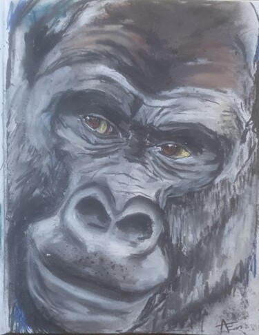 Drawing titled "Gorille" by Amandine Eon, Original Artwork, Pastel