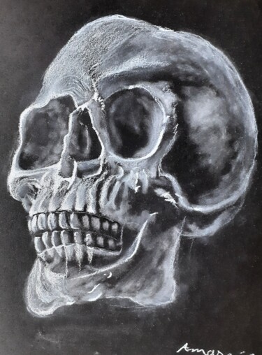 제목이 "Human Skull"인 그림 Amazeigh Bouzékri로, 원작, 숯