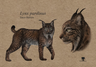 Digitale Kunst mit dem Titel "Lynx pardinus" von Ana Ribeiro (Ana Ribeiro Illustration), Original-Kunstwerk, Digitale Malerei