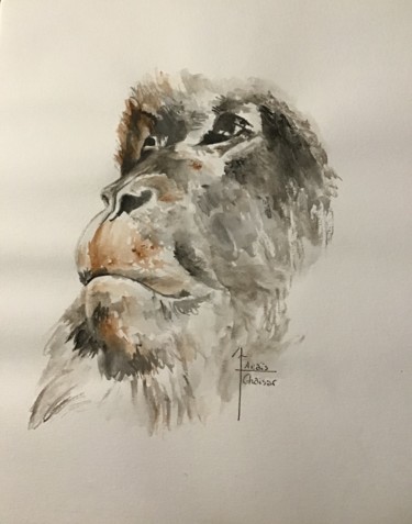 Painting titled "Macaque du japon" by Anaïs Ghaisar, Original Artwork, Watercolor